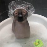 Load image into Gallery viewer, Kotomoda 20 Shower Caps for Sphynx Cats and Other Hairless Cats in a Tin Gift Box