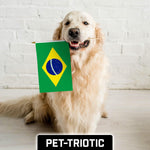 Load image into Gallery viewer, G128 24 Pack Handheld Brazil Brazilian Stick Flags  12x18 In  Printed 150D Polyester, Country Flag, Solid Wooden Stick, Spear Gold Tip