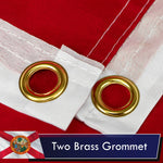 Load image into Gallery viewer, Florida State Flag 75D Printed Polyester 3x5 Ft