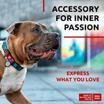 Load image into Gallery viewer, WAUDOG Nylon Dog Collar Adjustable Dog Collar for Large Dogs Small &amp; Medium Dogs Breakaway Puppy Collars for Large Breed Dogs Boy &amp; Girl Dog Collars with Durable Plastic Buckle and QR Dog Tag
