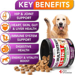Load image into Gallery viewer, 2 Pack Dog Multivitamin Chewable with Glucosamine Vitamins for Dogs 240 Chews