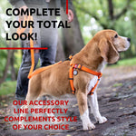 Load image into Gallery viewer, Waterproof Dog Leash 4 Ft 6 Ft Anti Slip Dog Leash for Large Dogs Small and Medium Dogs Heavy Duty Dog Leash with Water and Dirt Resistant Long Or Short Dog Leashes for Boy &amp; Girl Dogs