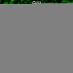 Load image into Gallery viewer, Garden Flag Welcome Gnome with Watermelon Slice 12x18 Blockout Fabric