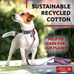 Load image into Gallery viewer, Recycled Cotton Dog Leash Purple 10 Ft Eco Friendly Collar for Small Medium