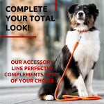 Load image into Gallery viewer, WAUDOG Rolled Leather Dog Leash 4Ft * 0.5 in for Small Medium and Large Dogs Heavy Duty Leather Puppy Leash for Outdoor Walking Running Training Strong Dog Leashes for Large Breed Dogs (Orange)