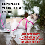 Load image into Gallery viewer, WAUDOG Waterproof Dog Leash 4 Ft 6 Ft Anti Slip Dog Leash for Large Dogs Small and Medium Dogs Heavy Duty Dog Leash with Water and Dirt Resistant Long Or Short Dog Leashes for Boy &amp; Girl Dogs