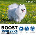 Load image into Gallery viewer, Omega 3 Fish Oil for Dogs 170 Chews Skin and Coat Supplement 170 Chews