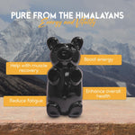 Load image into Gallery viewer, Pure Himalayan Shilajit Gold Gummies 3000 mg   Shilajit Gummies for Men &amp; Women