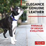 Load image into Gallery viewer, Purple Long Lasting Leather Dog Collar for Small Dogs 1114 inch Neck Adjustable