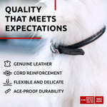 Load image into Gallery viewer, Ultra Soft Rolled Leather Dog Collar 10-13 inch Neck for Small Dogs Soft Padded Dog Collars for Medium Dogs Puppy Collars for Large Breed Dogs Male and Female Dog Collar