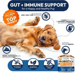 Load image into Gallery viewer, (2 Pack) Probiotics for Dogs   340 Dog Probiotics Chews   Digestive Enzymes &amp; Prebiotics   Support Gut Health Diarrhea Gas &amp; Constipation Relief   Itchy Skin Allergies   Advanced Supplement