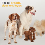 Load image into Gallery viewer, Flea and Tick Prevention for Dogs   Dog Flea Treatment Chews   Immune Support Flea and Tick Chewables for Dogs   Dog Flea &amp; Tick Control Supplement   All Breeds &amp; Ages   Vet Formulated   Soft Treats