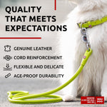 Load image into Gallery viewer, WAUDOG Rolled Leather Dog Leash 4Ft * 0.3 in for Small Medium and Large Dogs Heavy Duty Leather Puppy Leash for Outdoor Walking Running Training Strong Dog Leashes for Large Breed Dogs (Green)