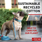 Load image into Gallery viewer, Recycled Cotton Dog Leash 6 Ft Blue Eco Friendly Collar for Small Medium Large