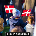 Load image into Gallery viewer, G128 12 Pack Handheld Denmark Danish Stick Flags  12x18 In  Printed 150D Polyester, Country Flag, Solid Wooden Stick, Spear Gold Tip