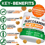 Load image into Gallery viewer, 2 Pack Glucosamine for Dogs 340 Mobility Chews Advanced Hip and Joint Supplement for Dogs Glucosamine Chondroitin MSM Joint Pain Relief