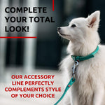 Load image into Gallery viewer, WAUDOG Rolled Leather Dog Leash 4Ft * 0.3 in for Small Medium and Large Dogs   Heavy Duty Leather Puppy Leash for Outdoor Walking Running Training   Strong Dog Leashes for Large Breed Dogs (Mint)