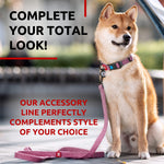 Load image into Gallery viewer, Recycled Cotton Dog Leash 6 Ft 10 Ft Eco Friendly Collar for Small Medium &amp; Large Dogs Reflective Dog Leash for Medium Dogs Strong Leashes for Large Breed Dogs Puppy Leash for Small Dogs
