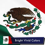 Load image into Gallery viewer, Mexico Mexican Flag 3x5 Ft 2Pack Printed Polyester By G128