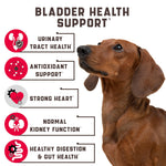 Load image into Gallery viewer, 180 Pcs Cranberry Chews Dog Cranberry Supplement Natural Aid for Urinary Tract