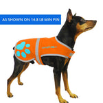 Load image into Gallery viewer, Reflective Dog Vest Chest Size 18.5 In Neck Size 15 in Hi Visibility