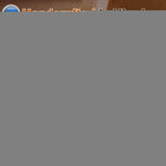 Load image into Gallery viewer, Gun Rack Wall Mount Hold Up Displays Horizontal Gun Store and Shotgun Bow Hooks