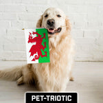 Load image into Gallery viewer, G128 24 Pack Handheld Wales Welsh Stick Flags  12x18 In  Printed 150D Polyester, Country Flag, Solid Wooden Stick, Spear Gold Tip