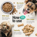 Load image into Gallery viewer, Hemp Оil for Dogs Cats   Helps Pets with Аnxiеty Pаin Strеss Slееp Аrthritis Sеizures Rеlief   Нiр Jоint Hеalth   2Pack