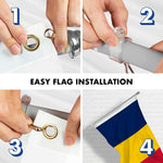 Load image into Gallery viewer, Flag Pole 6FT Silver Tangle Free &amp; Chad Chadian Flag 3x5 Ft Combo Printed 150D Polyester By G128