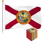 Load image into Gallery viewer, Florida FL State Flag 3x5 Ft 5Pack Printed Polyester By G128