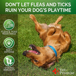 Load image into Gallery viewer, Flea and Tick Prevention for Dogs Chews   Natural Dog Flea and &amp; Tick Control   Advanced Oral Pills Supplement Treatment for All Breeds &amp; Size   Vet Formulated   Soft Chewables   Made in USA