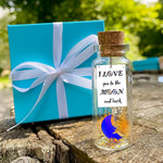 Load image into Gallery viewer, Cute and Kawaii Valentine's Day and Anniversary Presents Personalized Love Gifts for Boyfriend Girlfriend (I Love You To The Moon And Around The World in Teal Gift Box)