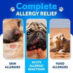 Load image into Gallery viewer, Dog Allergy Relief Chews   Itching Skin Relief for Dogs   Fish Oil   Omega 3