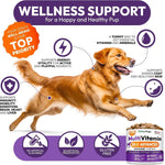 Load image into Gallery viewer, (2 Pack) Multivitamin Chews for Dogs