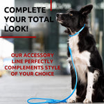 Load image into Gallery viewer, WAUDOG Rolled Leather Dog Leash 4Ft * 0.4 in for Small Medium and Large Dogs Heavy Duty Leather Puppy Leash for Outdoor Walking Running Training Strong Dog Leashes for Large Breed Dogs (Blue)