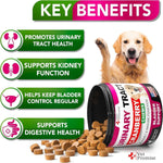 Load image into Gallery viewer, Dog UTI Treatment Cranberry Supplement for Dogs UTI Bladder Control 120 Chews