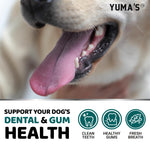 Load image into Gallery viewer, Dog Dental Powder   Breath Freshener   Dog Teeth Cleaning Powder   Tartar and Plaque Off Remover for Dogs   Probiotics   Multivitamin Blend Pet Oral Care Vitamins and Supplements   All Breeds &amp; Sizes