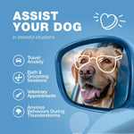 Load image into Gallery viewer, Hemp Calming Chews for Dogs Anxiety Relief L Theanine Chamomile Extract
