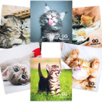 Load image into Gallery viewer, Microfiber Cleaning Cloth for Glasses Eyeglass Cleaning Towel 6 Pack Reusable