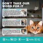 Load image into Gallery viewer, Cat Calming Treats  500 Crunchy Calming Cat Treats with Melatonin for Cats Valerian Root LTheanine Taurine &amp; Probiotics  Cat Vitamins and Supplements for Stress Anxiety Relief All Breeds