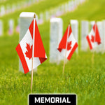 Load image into Gallery viewer, G128 12 Pack Handheld Canada Canadian Stick Flags  12x18 In  Printed 150D Polyester, Country Flag, Solid Wooden Stick, Spear Gold Tip