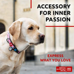 Load image into Gallery viewer, Nylon Dog Collar 14-23 inch Neck x 1 inch Wide Adjustable Dog Collar for Large Dogs Small &amp; Medium Dogs Breakaway Puppy Collars for Large Breed Dogs Boy &amp; Girl Dog Collars with Durable Plastic Buckle and QR Dog Tag