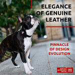 Load image into Gallery viewer, Long Lasting Leather Dog Collar for Large Dogs Medium Small Dogs 11  14 inch
