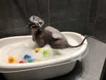 Load image into Gallery viewer, Sphynx cat Shampoo for Naked and Hairless Cats 120 ml with Foam Pump