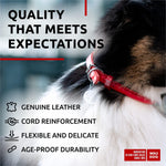 Load image into Gallery viewer, Ultra Soft Rolled Leather Dog Collar for Small Dogs Soft Padded Dog Collars for Medium Dogs Puppy Collars for Large Breed Dogs Male and Female Dog Collar