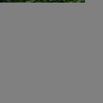 Load image into Gallery viewer, Combo Pack Garden Flag Stand Black 36x16 In and Garden Flag 12x18 In Dog in