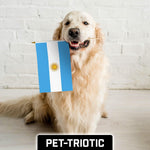 Load image into Gallery viewer, G128 30 Pack Handheld Argentina Argentinian Stick Flags  12x18 In  Printed 150D Polyester, Country Flag, Solid Wooden Stick, Spear Gold Tip
