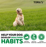 Load image into Gallery viewer, No Poo Chews for Dogs   170 Ct   Coprophagia No Poop Eating Deterrent for Dogs   Stop Eating Poop for Canine   Probiotics &amp; Digestive Enzymes Supplement   Made in USA