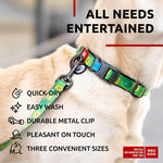 Load image into Gallery viewer, WAUDOG Nylon Dog Leash for Small Dogs and Medium Dogs 4 Ft Strong Dog Leash for Large Dogs Heavy Duty Dog Leashes for Large Breed Dogs &amp; Puppy Leash for Small Boy &amp; Girl Dogs