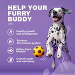 Load image into Gallery viewer, Dog Vitamins 15 in 1 Multivitamin Chews with MSM for Hip Joint Health Dog